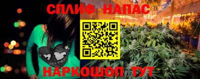PSILOCYBIN Гудермес