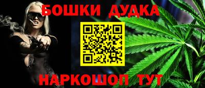 PSILOCYBIN Гудермес