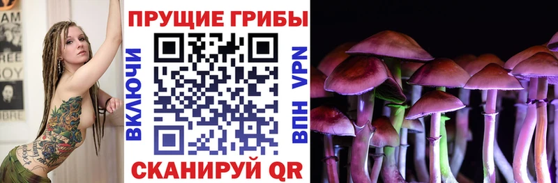 Псилоцибиновые грибы Psilocybe  даркнет сайт  Североморск 